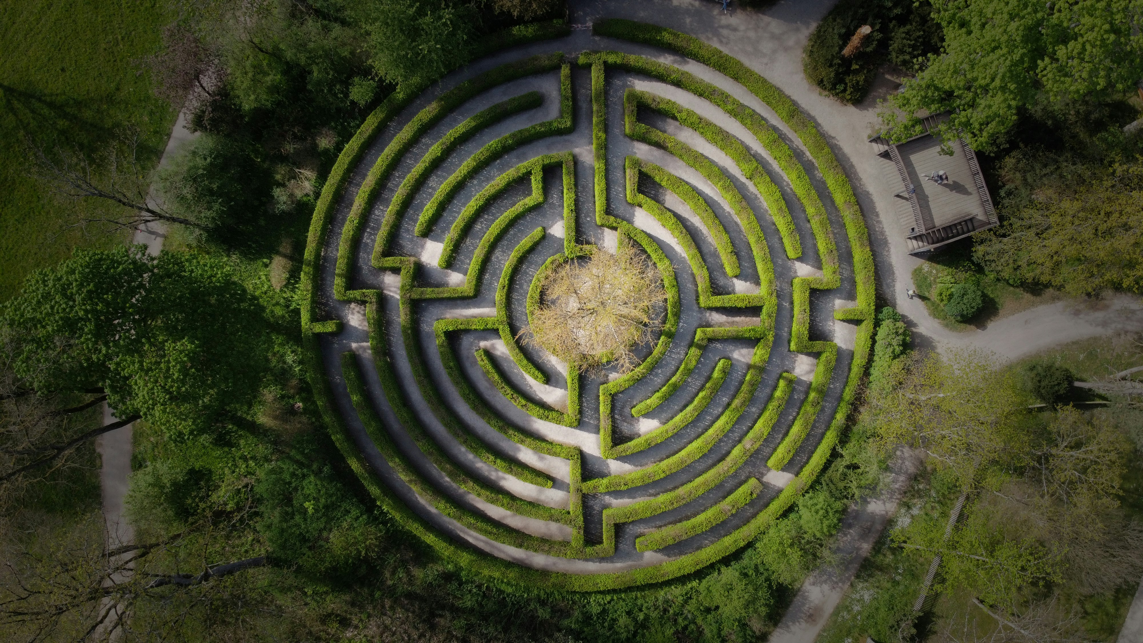 Circular garden maze